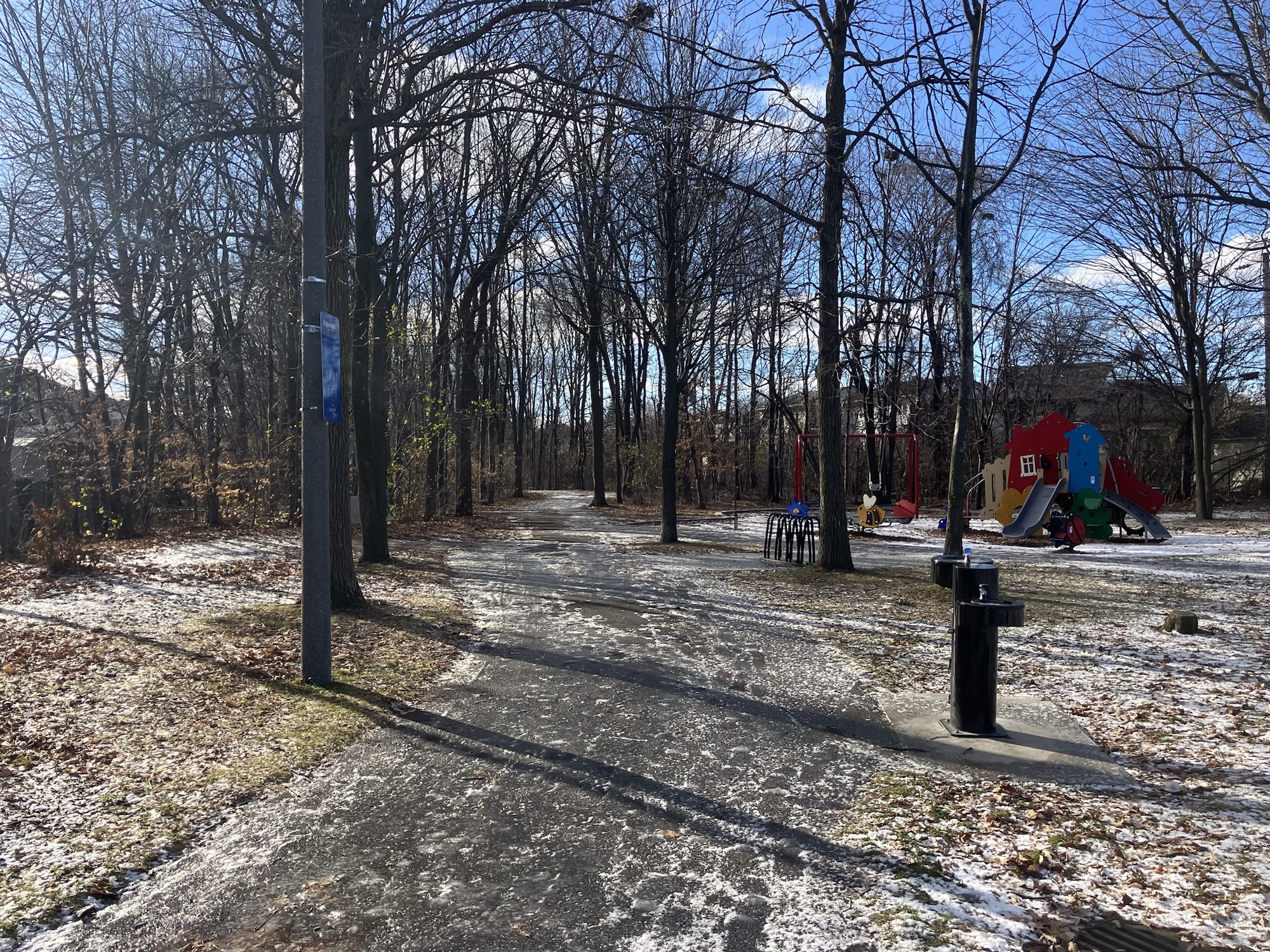 5 km a day: What the asphalt taught me about consistency